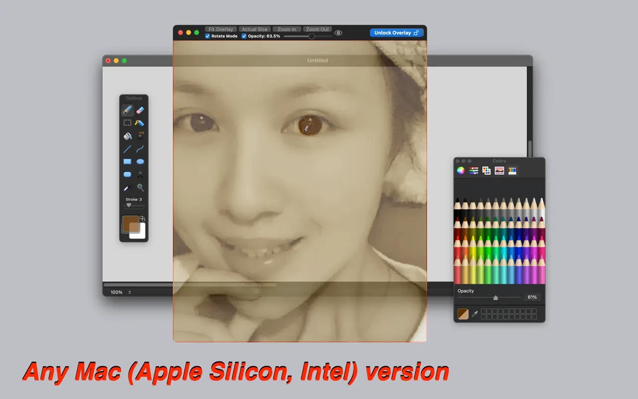 Overlay screenshot 1