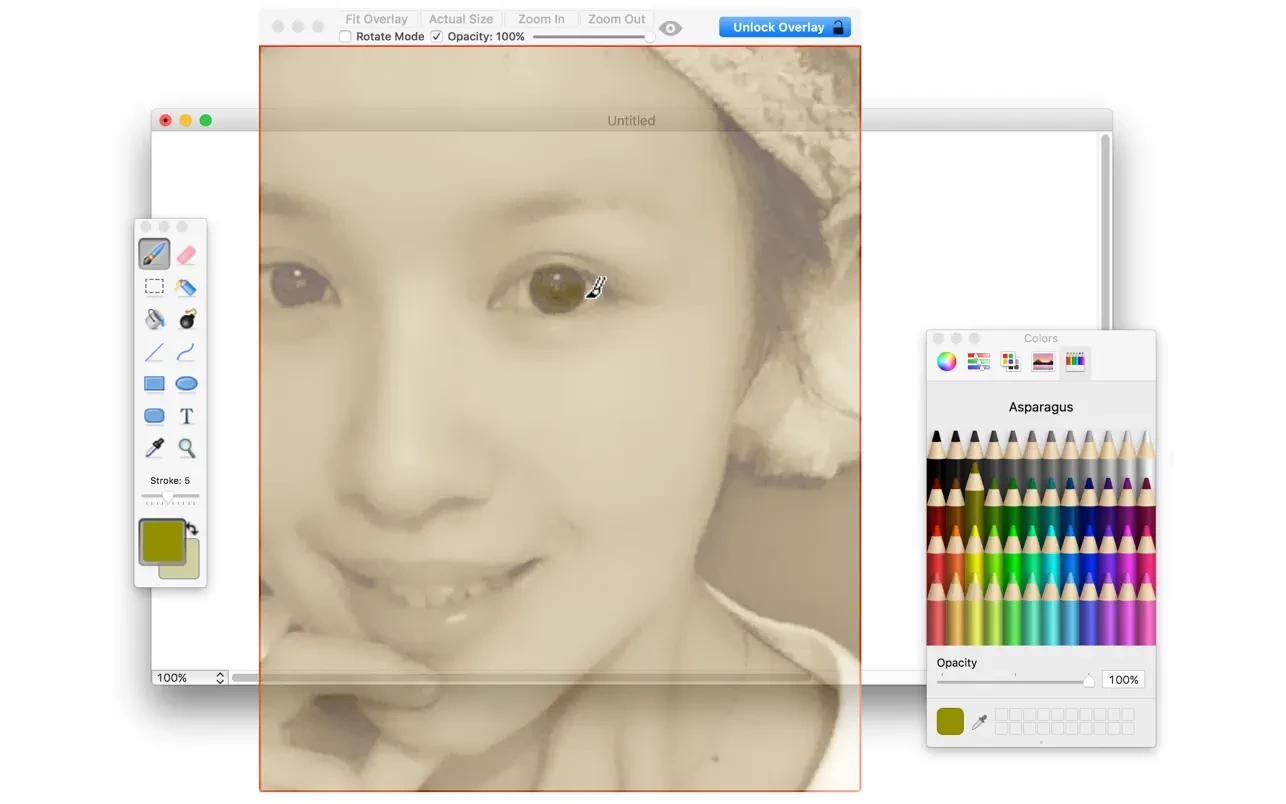 Overlay screenshot 3