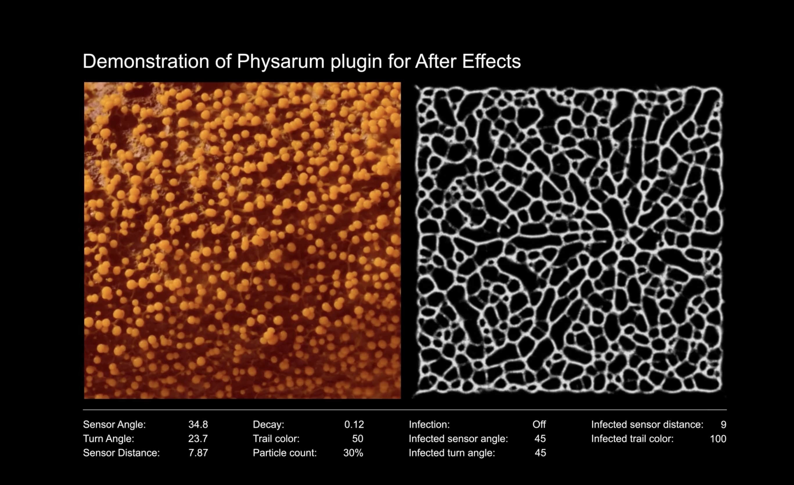Physarum screenshot 2
