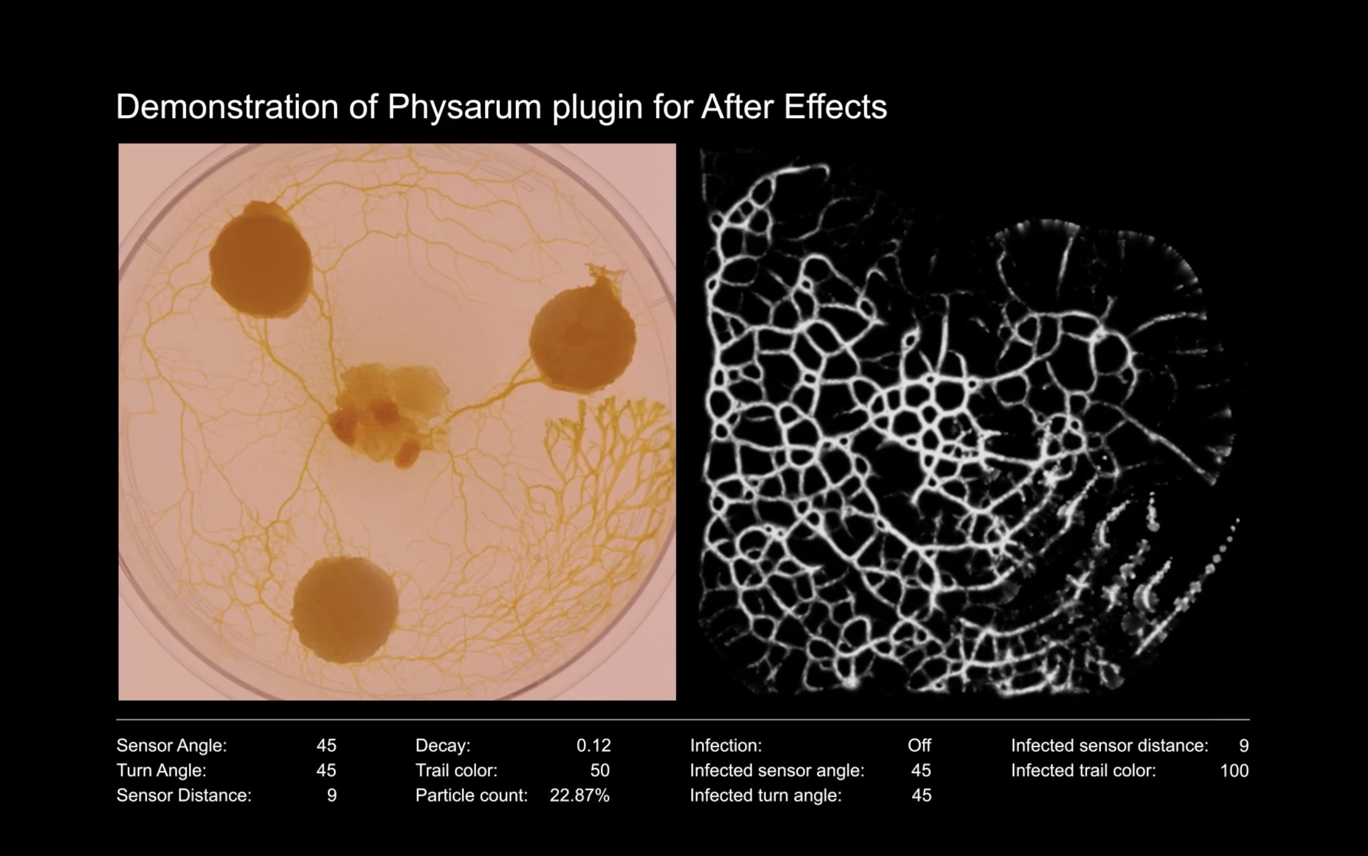 Physarum screenshot 3