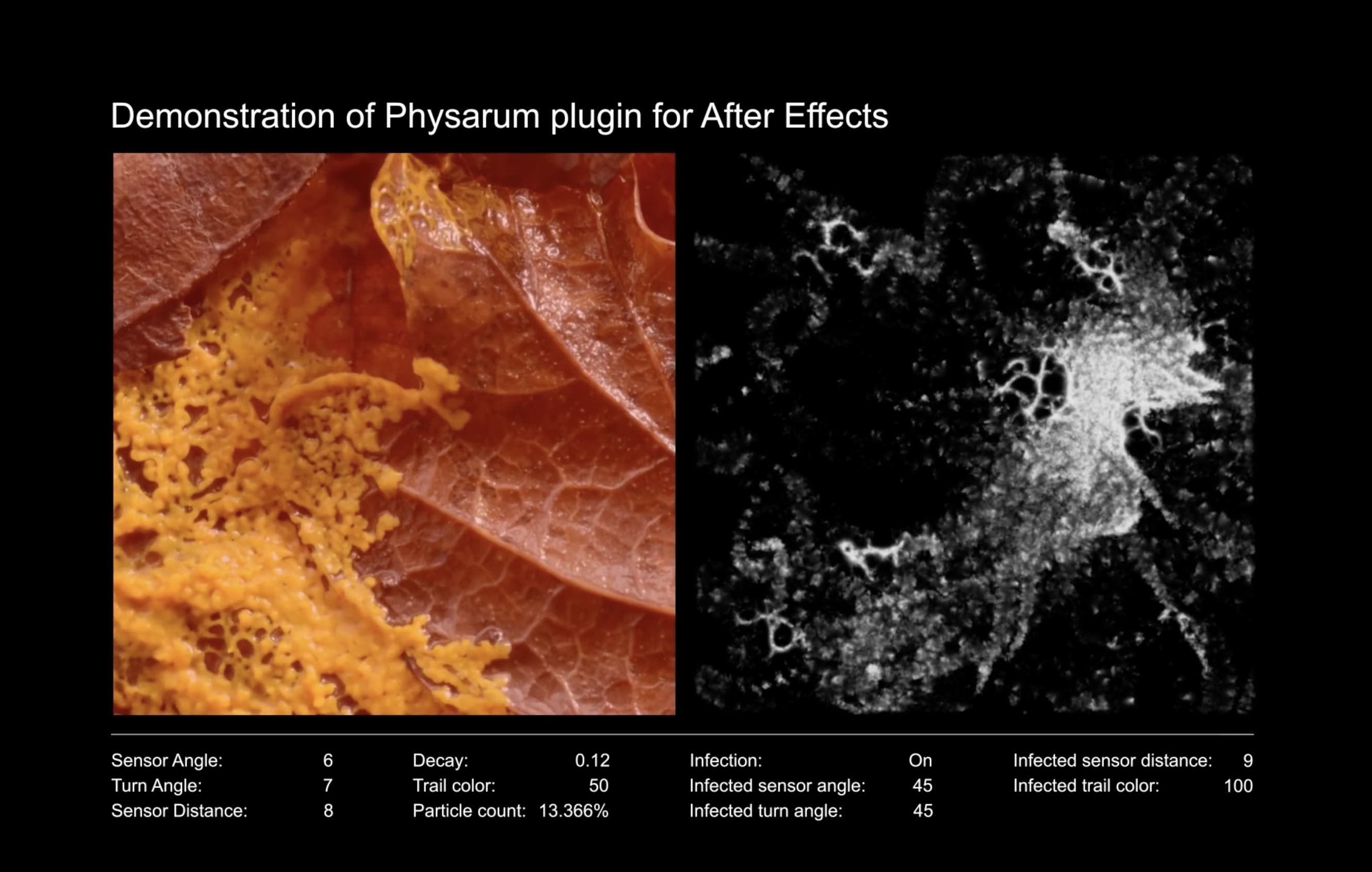 Physarum screenshot 4