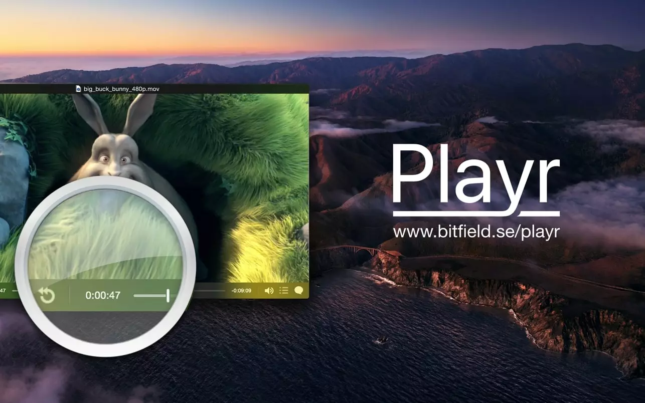Playr screenshot 4